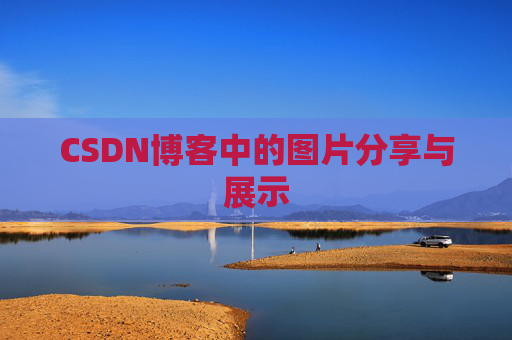 CSDN博客中的图片分享与展示